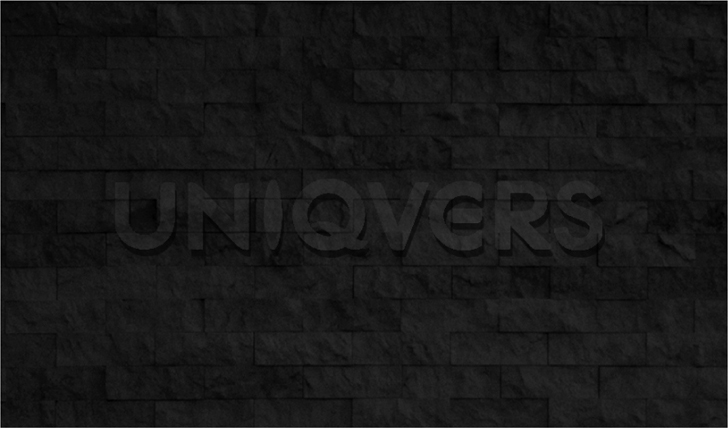 UNIQVERS